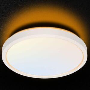 13 and 18 Inch LED Flush Mount Ceiling Light with Night Light